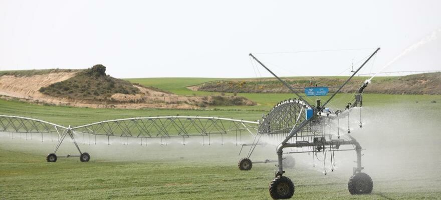 Aragon Irrigation Che respectera les droits dirrigation pour les