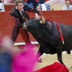 Creepy Buck the Bullfighter Borja Jimenez devant le roi Felipe