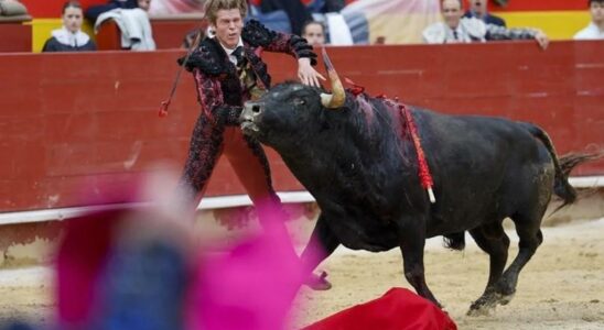 Creepy Buck the Bullfighter Borja Jimenez devant le roi Felipe