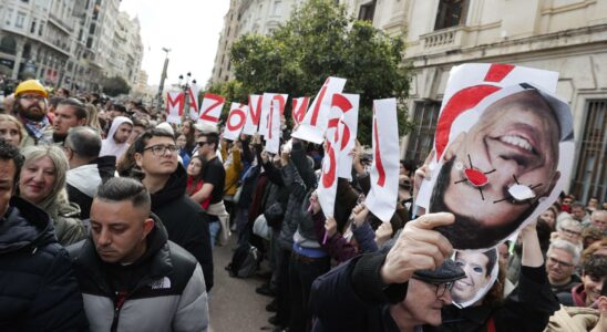 Des milliers de personnes demandent a Valence la demission de