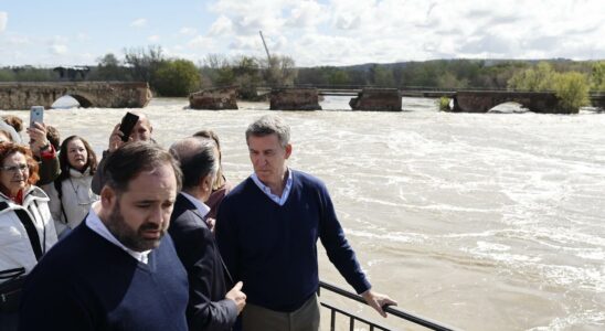 Feijoo demande un plan national aquatique apres leffondrement du pont