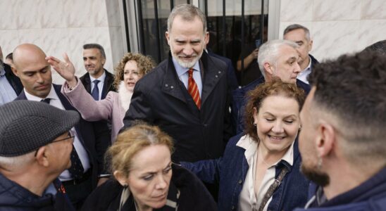 Felipe VI Visite de Surprise Torrent lune des localites les