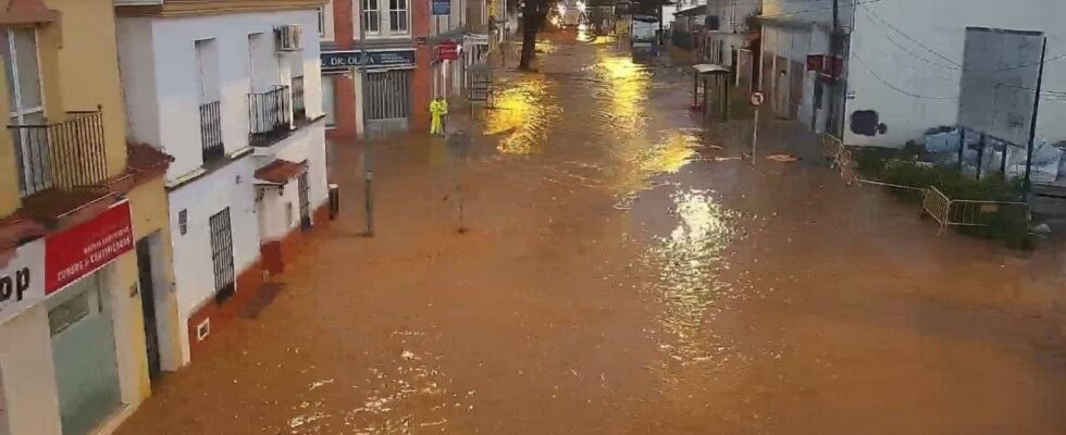 La detruire de Laurence a Malaga