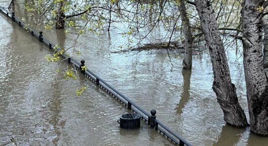 Le Tajo a 950 metres cubes par seconde et peut