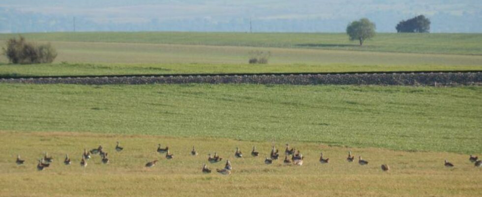 Les ecologistes en action rejette le projet de lAVE a