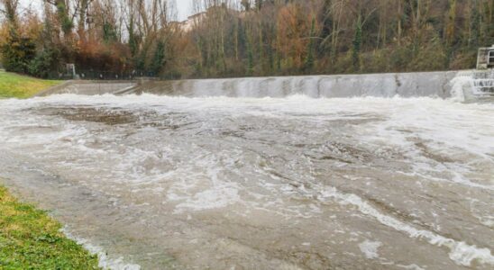 Les etudes de CHD declarent lavis rouge devant le flot