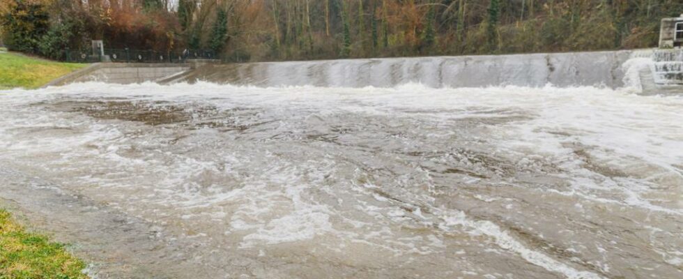 Les etudes de CHD declarent lavis rouge devant le flot