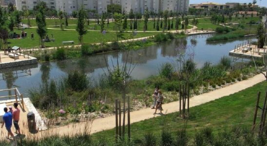 Parc antirriade Le Marjal de Alicante Leponge naturelle qui