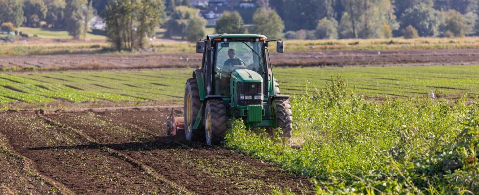 Pardonne une dette de 62 000 euros a un autonome