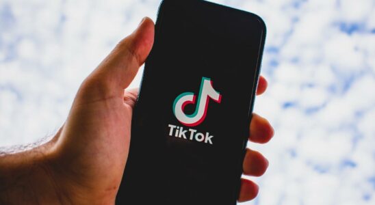 Tiktok lance de nouvelles fonctions de controle parental pour etablir