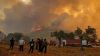 50 Finnish tourists are evacuated from the wildfires in Rodos