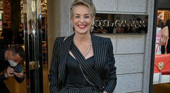 65 Year Old Sharon Stone Makes the Buzz in a Swimsuit Check