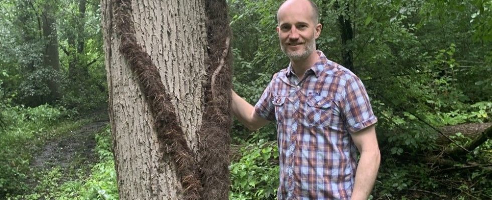 Brant County man makes history with massive and fascinating discovery