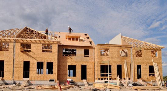 Brantford leads Ontario cities in housing starts in May