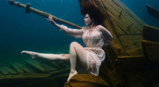Brantford model part of world record underwater photo shoot