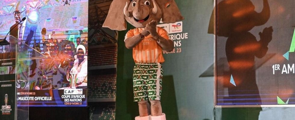 CAN 2024 and here is the elephant Akwaba mascot of