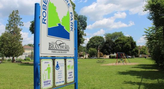 City to move expand Robert Moore Park