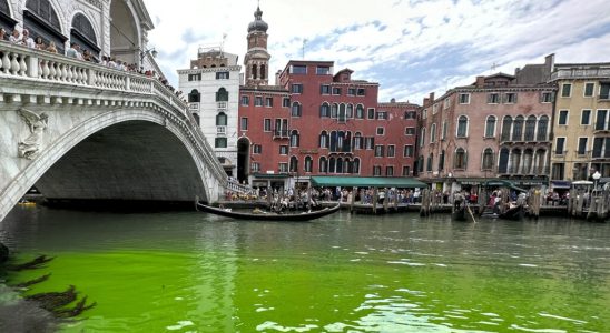 Climate change Unesco recommends classifying Venice among the world heritage
