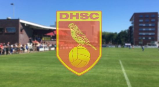 DHSC will scrap entrance fees for home games next season
