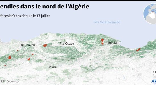 Deadly fires unprecedented heat wave Algeria and Tunisia are suffocating