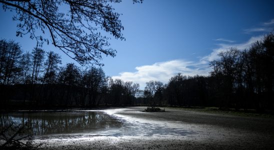 Drought 68 of French water tables still below normal