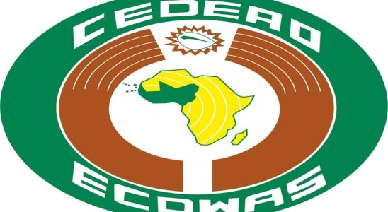ECOWAS Summit heavy menu on the agenda of West African