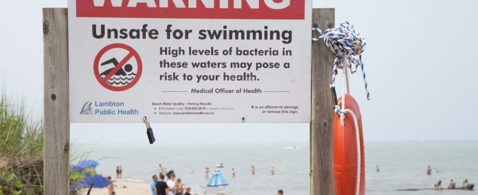 Everything beachgoers should know about E coli risks