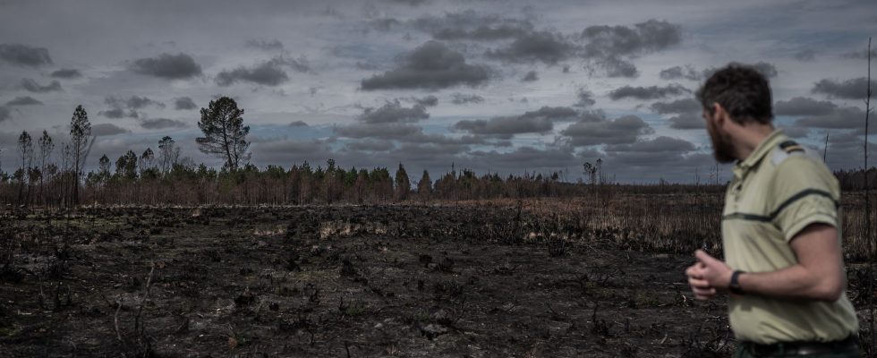 Fires why France is for the moment relatively spared