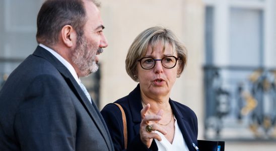 Francois Braun Sylvie Retailleau their plan to simplify French