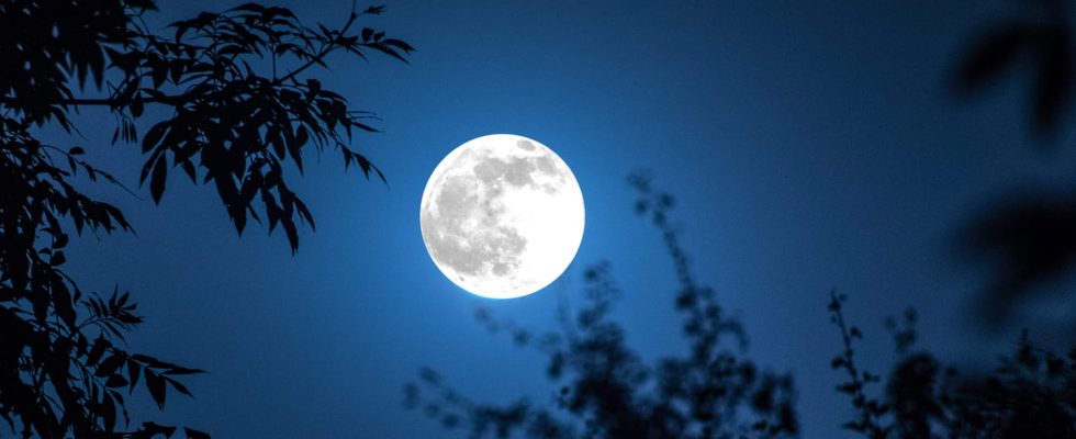 Full Moon 2023 The Effects On Your Zodiac Sign In