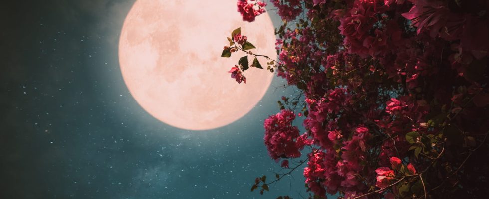 Full moon 2023 what effects on your astrological sign
