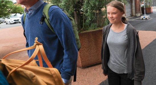 Greta Thunberg is on trial in Malmo