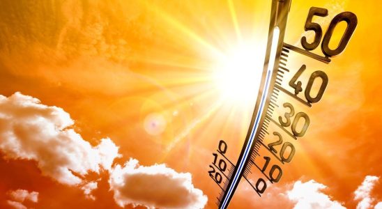 Heat wave the UN confirms July will be the hottest
