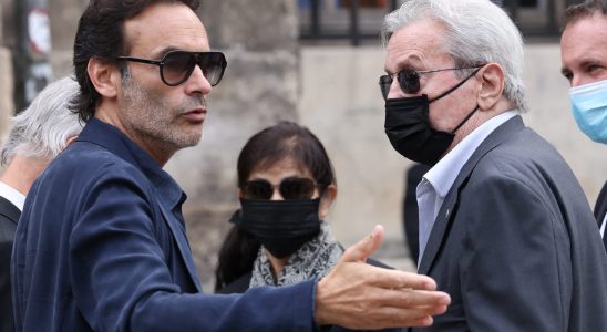 Hiromi Rolin who is Alain Delons companion targeted by a