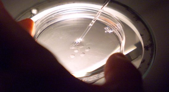 Human synthetic embryos investigation of a laboratory revolution