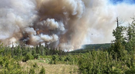 In Canada a long and difficult summer nearly 380 fires