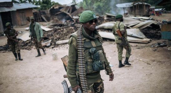 In the DRC the army announces the neutralization of several