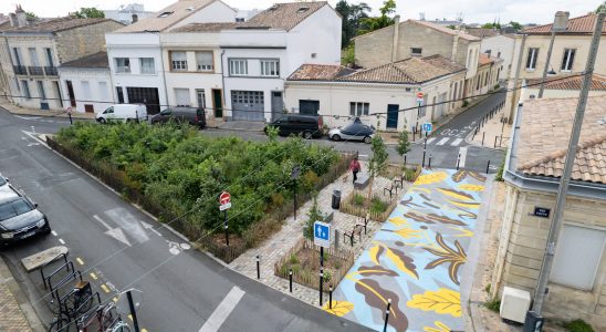 Micro forests and orchards in the streets of Bordeaux the greenery