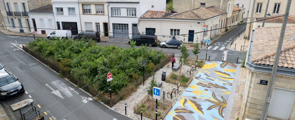 Micro forests and orchards in the streets of Bordeaux the greenery