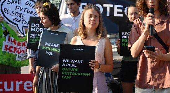 Nature Restoration Law Environmentalists and farmers clash in European Parliament