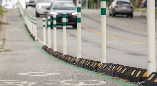 New bike lanes installed on Henry Street in Brantford