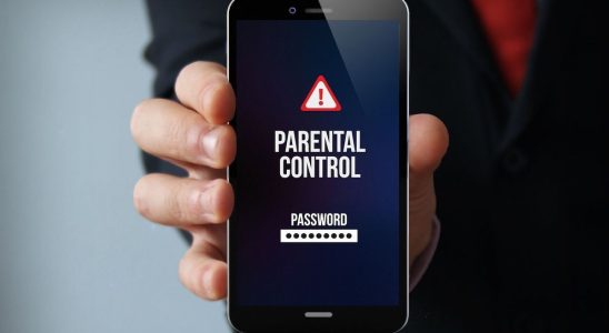 Parental control will be mandatory on all connected terminals from