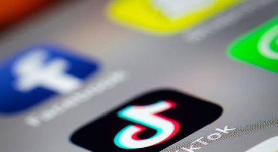 Personal data TikTok called to order by the government