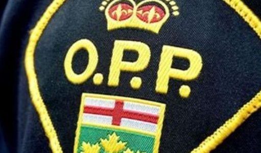 Police blotter Norfolk OPP charges three people with drinking and