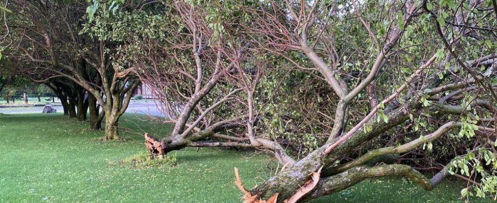 Possible twister probed after storm leaves mark on CK