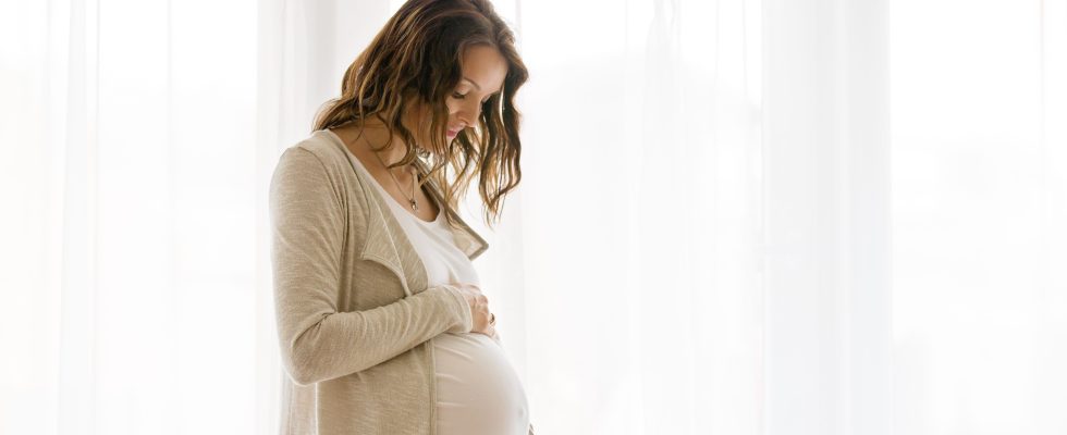 Pregnancy how environmental exposures impact the development of the unborn