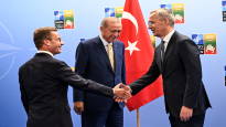 Read here about everything Sweden and Turkey finally agree on