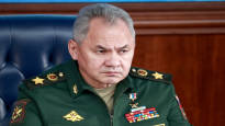 Russian Defense Minister Sergei Shoigu commented for the first time