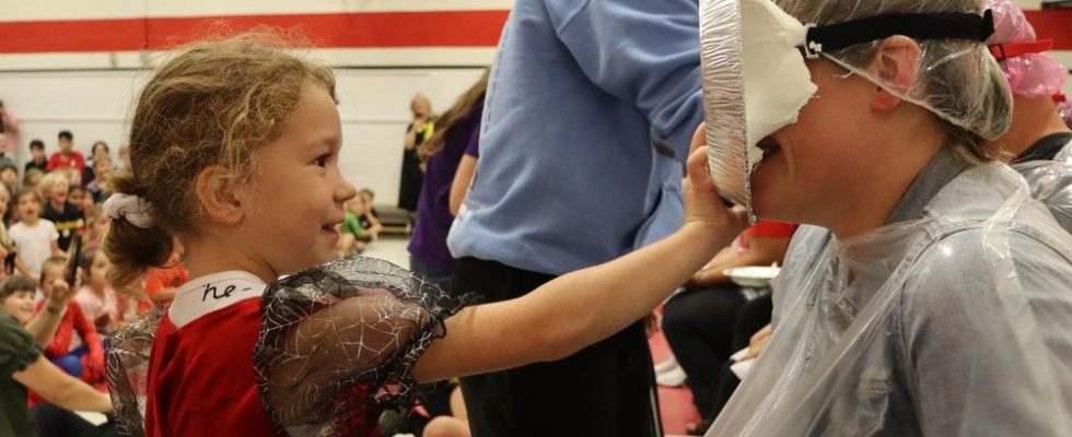Sarnia school staff take pies in the face to aid