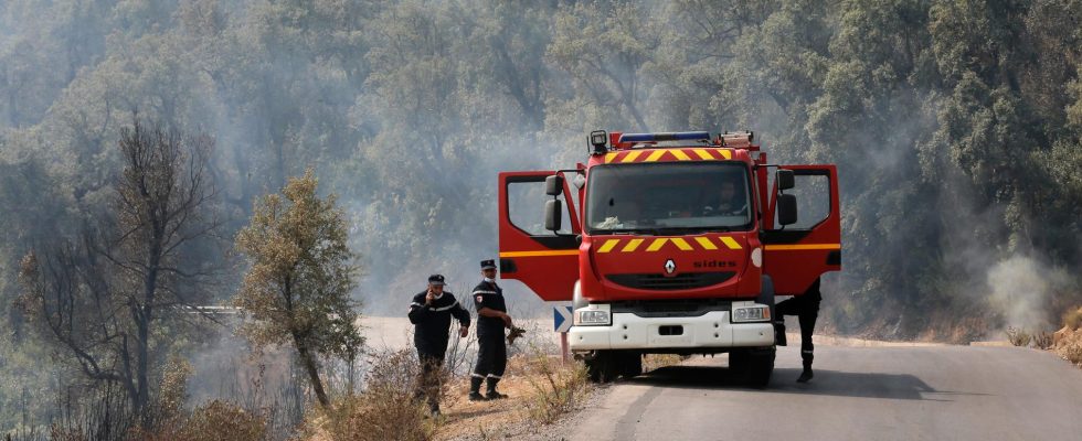 Several dead in Algerian fires
